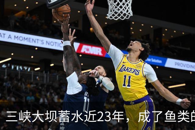 三峡大坝蓄水近23年，成了鱼类的天堂，如今库区最大鱼有多大？