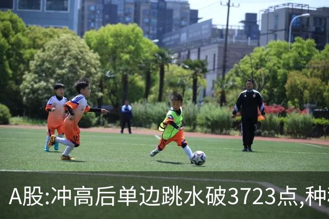 A股:冲高后单边跳水破3723点,种种迹象表明,A股熊市要被激活了?